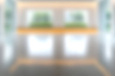 Bu görüntü doğal ışıkla dolu modern bir iç mekan yakalıyor, şık raflar ve yemyeşil, rahatlamak için mükemmel bir ortam yaratıyor..