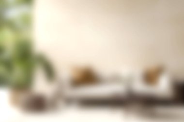 Rahat bir kanepe, dekoratif yastıklar ve bir saksı bitkisinin yer aldığı parlak, modern bir oturma odası rahatlatıcı ve şık bir atmosfer yaratıyor..