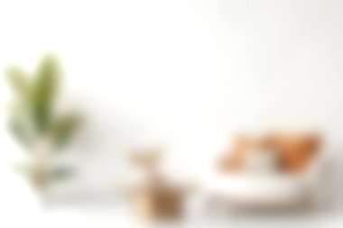 Açık renkli ve kapalı bir bitki içeren rahat bir minimalist oturma odası modern bir ev atmosferi yaratıyor. Estetik ilhamlar için ideal..