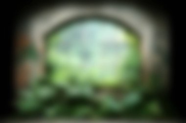 Bu resim yumuşak odaklı bir pencere yakalar ve yemyeşil bir manzara ortaya çıkarır. Terk edilmiş bir ortamda sakin bir atmosfer yaratır. Doğa temaları için mükemmel.