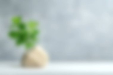 Minimalist bir vazodaki yeşil bitkinin sakin bir görüntüsü, yumuşak bulanık bir arka plan üzerine kurulmuş, barışçıl ve modern bir dekor ortamı yaratıyor. Ev ve ofis alanları için mükemmel.