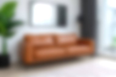 Şık, kahverengi deri bir kanepe parlak bir oturma odasını güzelleştirir, konforu stil ve doğal dekor unsurlarıyla harmanlar. Samimi toplantılar için mükemmel..