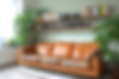 Modern bir kanepe, sıcak melodiler ve bitki ve kitaplarla dolu dekoratif raflarla dolu parlak ve davetkar bir oturma odası. Rahatlamak için mükemmel..