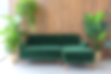 Büyüleyici yeşil kadife kanepe, rahat bir atmosfer için doğal ahşap ve yemyeşil aksanlı çağdaş bir yaşam alanında şık bir odak noktası sağlar..