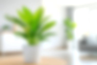 Parlak ve havadar bir kapalı alan, yemyeşil bitkiler, doğal ışık ve modern dekor içerir. Rahatlatıcı bir atmosfer için sükunet ve sıcaklık hissi uyandırıyor..