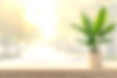 Yumuşak bir sabah ışığı pencereden süzülüyor, yeşil bir bitkinin üzerine sıcak bir parıltı saçıyor. Bu atmosferik görüntü ev ortamında sükuneti ve doğal güzelliği yakalar..