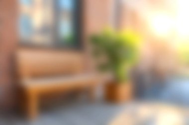 Tahta bir bank ve yemyeşil bir bitki içeren sakin bir açık hava sahnesi, ılık sabah ışığında yıkanmış, huzur ve rahatlama hissi uyandırıyor..