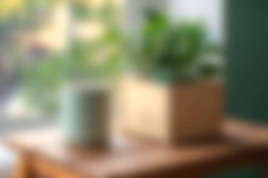 Konforlu bir ev ortamında, doğal ışık ve dingin atmosfere sahip, dekorasyon için mükemmel olan kapalı alan bitkilerini vurgulayan yumuşak odaklı bir resim..