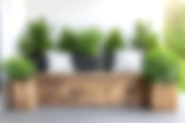 Kapalı alan bitkilerinin doğal ahşap ekicilerdeki modern düzenlemesi sakin bir atmosfer yaratıyor. Ev dekorasyonunu geliştirmek ve doğayı eve getirmek için mükemmel..