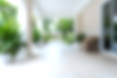 Bereketli yeşillik ve yumuşak doğal ışığın yer aldığı parlak bir kapalı alan rahatlama ve sükunet için mükemmel bir ortam yaratır. Tasarım ilhamı için ideal.