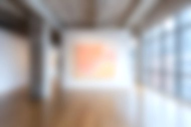 Minimalist tasarımı ve iç kısımları su basan doğal ışığı barındıran geniş ve parlak bir modern sanat alanı. Çağdaş sanat eserlerini sergilemek için ideal.