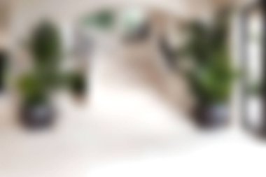 Bu dingin modern iç mekanı, bereketli yeşilliği, bol doğal ışığı ve minimalist dekoru keşfedin. Rahatlamak ve ilham vermek için mükemmel bir yer..