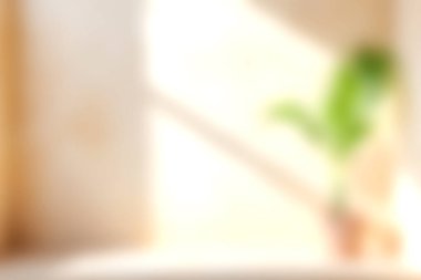 Saksının içindeki yeşil bitkiyi gösteren sakin bir görüntü, pencereden süzülen yumuşak doğal ışıkla aydınlatılıyor, rahatlatıcı bir atmosfer yaratıyor..