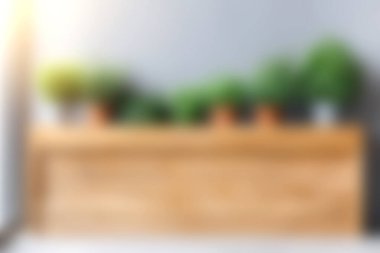 Bu görüntü, ahşap bir rafta duran şık bir bitki görünümünün bulanık görüntüsünü yakalar ve modern iç dekorasyona sıcaklık ve enerji katar..