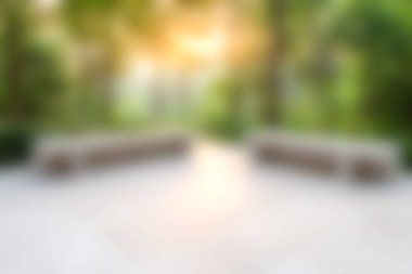 Yumuşak güneş ışığıyla aydınlatılan, canlı yeşilliklerle kucaklanan, doğanın güzelliğini rahatlatmak için mükemmel, huzurlu bir doğa manzarası..