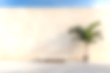 Yumuşak bej bir duvara karşı tek bir yeşil bitki barındıran, sükunet ve modern tasarım estetiğini çağrıştıran sakin, minimalist bir kapalı alan. Çeşitli yaratıcı projeler için ideal.