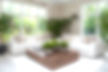 Parlak ve davetkar oturma odasında rahat mobilyalar, bol miktarda doğal ışık ve bereketli kapalı alan bitkileri dinlenmek için huzurlu ve huzurlu bir dinlenme yeri oluşturur..