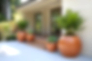 Modern bir ev girişi ile yemyeşil bitkilerle dolu terracotta tencereleri içeren sakin bir açık hava ortamı. Doğa aşıkları ve bahçe meraklıları için mükemmel..