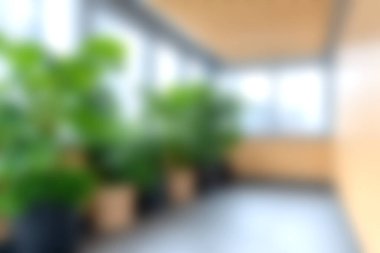 Geniş pencereli modern bir alanda canlı yeşil bitkiler sergilenen sakin bir bahçe sükuneti ve doğayla bağlantıyı destekliyor..