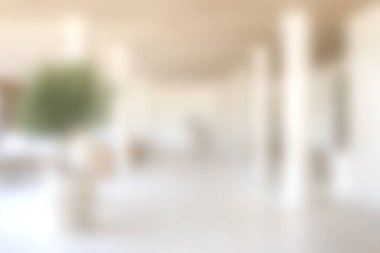 Açık renkleri, temiz çizgileri ve açık düzeni vurgulayan, modern tasarım estetiğini sergilemek için mükemmel olan sakin ve havadar bir iç mekan..