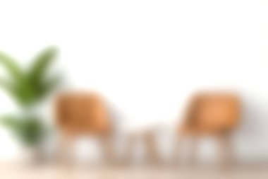 İki rahat sandalye, bir sehpa ve yemyeşil bir bitkinin yer aldığı sakin ve minimalist bir yaşam alanı. Rahatlama ve ilham için ideal..