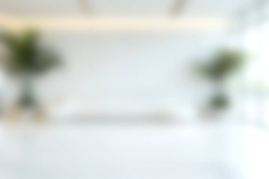 Minimalist tasarım elementleri ve yemyeşil bitkilerin yer aldığı parlak ve modern bir iç mekan, dinginlik için mükemmel ve davetkar bir atmosfer yaratıyor..