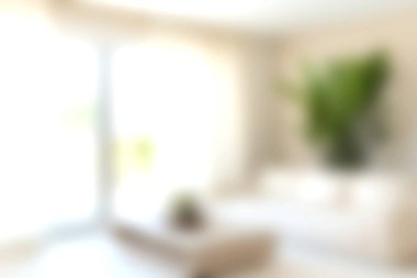 Rahat bir kanepe ve yemyeşil bir bitki tarafından vurgulanmış parlak ve havadar bir atmosferi olan modern bir oturma odası. Rahatlatıcı doğal ışığın tadını çıkar..