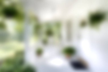 Bereketli yeşillik ve bol doğal ışık barındıran, sakin ve davetkar bir atmosfer yaratan, rahatlama ve stil için mükemmel bir kapalı alan..