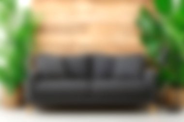 Modern siyah bir kanepe yumuşak yastıklara sahiptir ve yemyeşil bitkilerle güzelce tamamlanır, rahat ve şık bir iç mekan oluşturur rahatlama için mükemmel.