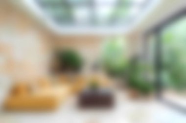 Geniş pencereleri, modern mobilyaları ve bereketli ev bitkilerini barındıran parlak ve cezbedici yaşam alanı, dinlenmek için sakin bir atmosfer yaratıyor..