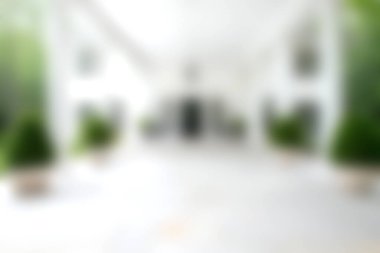 Parlak ve zarif kapalı alan, yemyeşil bitkiler içeriyor, sakin ve misafirperver bir ortam yaratıyor. İç tasarım ilhamı için mükemmel.