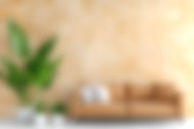 Bu resim, yumuşak bir kanepe ve yemyeşil bir bitkinin yer aldığı rahat bir oturma odasını gösteriyor. Rahatlamak için davetkar ve huzurlu bir atmosfer yaratıyor..