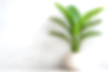 Modern bir tencerede bulanık beyaz bir arka planda yeşil bir bitkinin yumuşak odaklı görüntüsü. Bu fotoğraf yeni, sakin bir estetik sunuyor, dekor ya da tasarım için mükemmel..