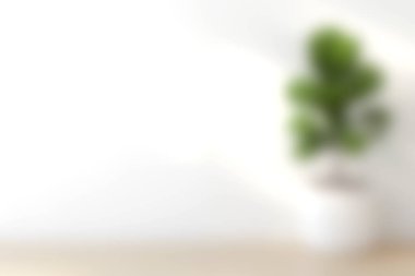 Beyaz tencerede yeşil bir bitki barındıran sakin bir iç mekan sahnesi, parlak, bulanık bir arka plana sahip ahşap bir masa üzerine kurulmuş sükunet ve tazeliği ileten..