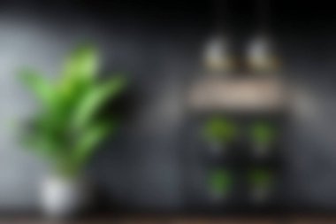 Zarif bir rafta yemyeşil bitkilerin bulunduğu modern bir iç mekan keşfedin. Minimalist bir dekor ve rahatlama için mükemmel sakin bir atmosfer..