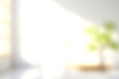 Pencerelerden süzülen, saksı bitkisini aydınlatan yumuşak ışığın yer aldığı parlak ve havadar bir iç mekan. Bu asgari ayar huzuru ve tazeliği çağrıştırıyor, çeşitli tasarım temaları için mükemmel..