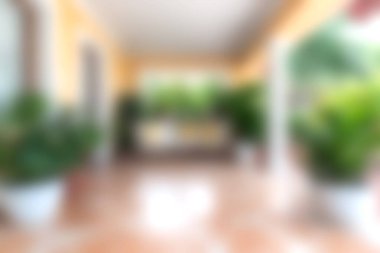 Bu resim, bereketli yeşil bitkilerle dolu parlak ve davetkar bir iç mekan sergiliyor ve sakin bir atmosfer yaratıyor. Modern tasarım ferahlatıcı bir titreşim için bol miktarda doğal ışık içerir..