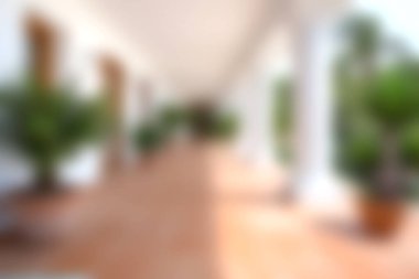 Saksı bitkileriyle dolu zarif bir koridorun güzel, yumuşak odaklı görüntüsü, doğal ışıkla dolu sakin ve davetkar bir atmosfer sergiliyor..