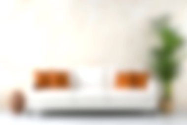 Turuncu yastıklarla süslenmiş bu modern beyaz kanepe, ferahlık ve canlılık katan yeşil bir bitki ile tamamlanmış, şık bir iç mekânda rahat bir dokunuş sunuyor..