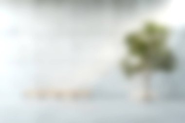 Yumuşak beyaz arka planda yeşil bir bitki barındıran sakin, minimalist bir iç mekan modern mekanlar için sakin ve davetkar bir atmosfer yaratıyor..