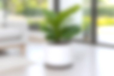 Yumuşak odaklı bir görüntü modern beyaz bir tencerede zarif bir bitki sergiliyor, doğal ışık ve yeşillikle çağdaş bir yaşam alanını geliştiriyor..