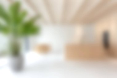 Yumuşak, bulanık bir arka planı, şık mobilyaları ve yemyeşil bitkileri olan modern bir kabul alanı. Çağdaş tasarım kavramlarını göstermek için mükemmel..