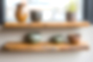 Büyüleyici bir iç çekim çeşitli saksı bitkileriyle dekore edilmiş ahşap raflar doğal ışıkla dolu sıcak ve davetkar bir alan yaratıyor..