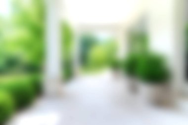 Yumuşak odak görüntüsü huzurlu bir bahçe yolunu yakalıyor, yemyeşil ve parlak güneş ışığı ile birlikte, huzurlu bir açık hava alanını aydınlatıyor..