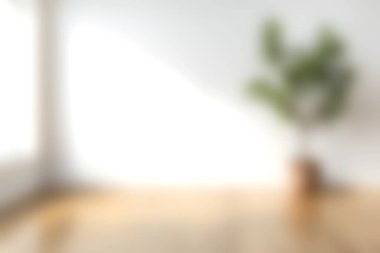 Yumuşak bir ışığın camdan içeri aktığı, ahşap bir masadaki saksı bitkisini aydınlattığı, rahat ve davetkar bir atmosfer yarattığı sakin bir iç mekan..