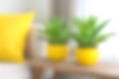 Sarı aksanlı yastıkların ve yemyeşil bitkilerin yer aldığı parlak bir iç mekan sahnesi rahat dekoru geliştirir. Yumuşak güneş ışığı sıcak ve davetkar bir atmosfer yaratır..