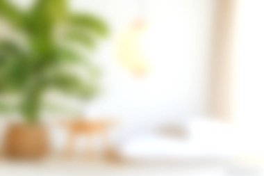 Parlak ve havadar bir iç mekan, yemyeşil bir bitki ve rahat bir mobilya içeriyor, sakin ve rahatlatıcı bir atmosfer yaratıyor..