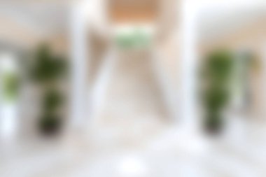 Zarif merdivenlerin ve kapalı alandaki bitkilerin bulunduğu parlak ve misafirperver bir minimalist koridor keşfedin. Bu dingin alan modern mimariyi ve doğal ışığı vurguluyor.