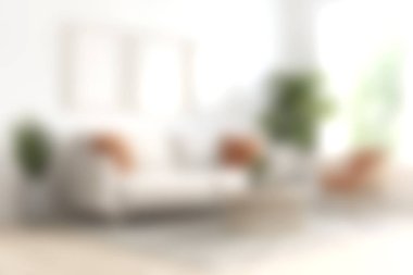 Yumuşak yastıklarla süslenmiş rahat bir kanepenin olduğu parlak ve havadar bir oturma odası. Rahatlamak için mükemmel. Modern dekor taze bir dokunuş için yeşillik içeriyor..