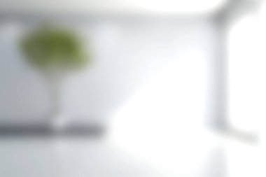 Parlak minimalist iç mekan. Yumuşak doğal ışığı olan bir saksı bitkisi. Huzur, tasarım ve modern yaşam alanları temaları için mükemmel..